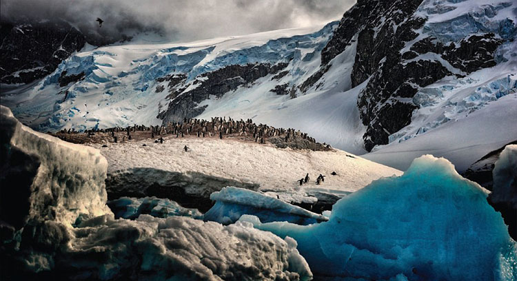 ℃－90.. ????? ????? ????? ??????? ??? ????? ???? ?????? 