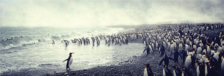 ℃－90.. ????? ????? ????? ??????? ??? ????? ???? ?????? 