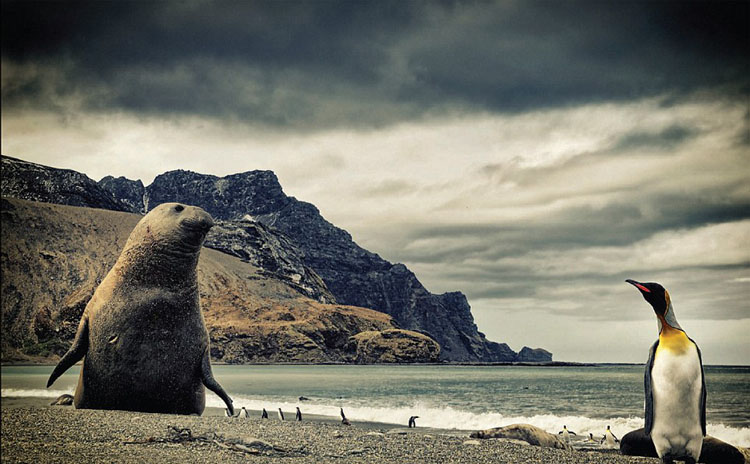 ℃－90.. ????? ????? ????? ??????? ??? ????? ???? ?????? 