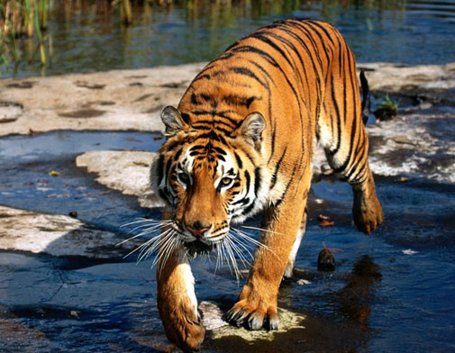 ?????: ???? ???? ????? ????? ???????? ??????