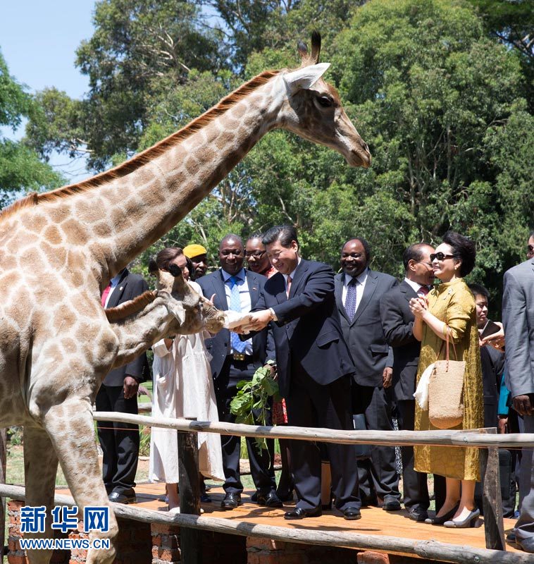 ????? ??????? ???? ????? ?????? ?????? ?????????