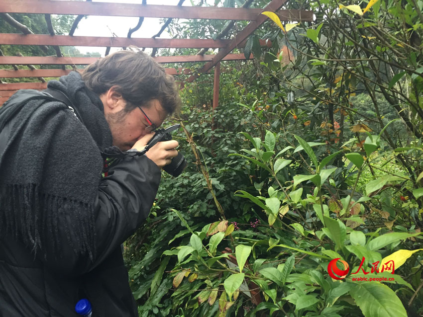 ?????  ???? ?? ??? - ???? ??????? ?????? 