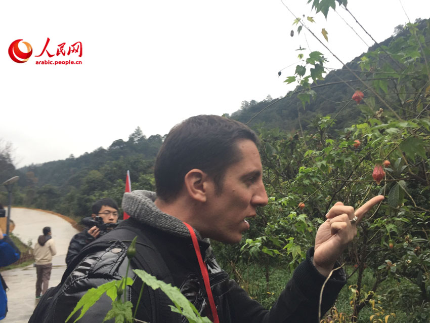 ?????  ???? ?? ??? - ???? ??????? ?????? 