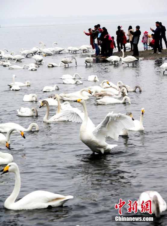 ????? ??????? ?? ??????? ??????? ?? ??????? ???????? ????????