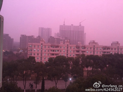 ?????? ??????? ?????? ???? ??? ????????? ?? ???????