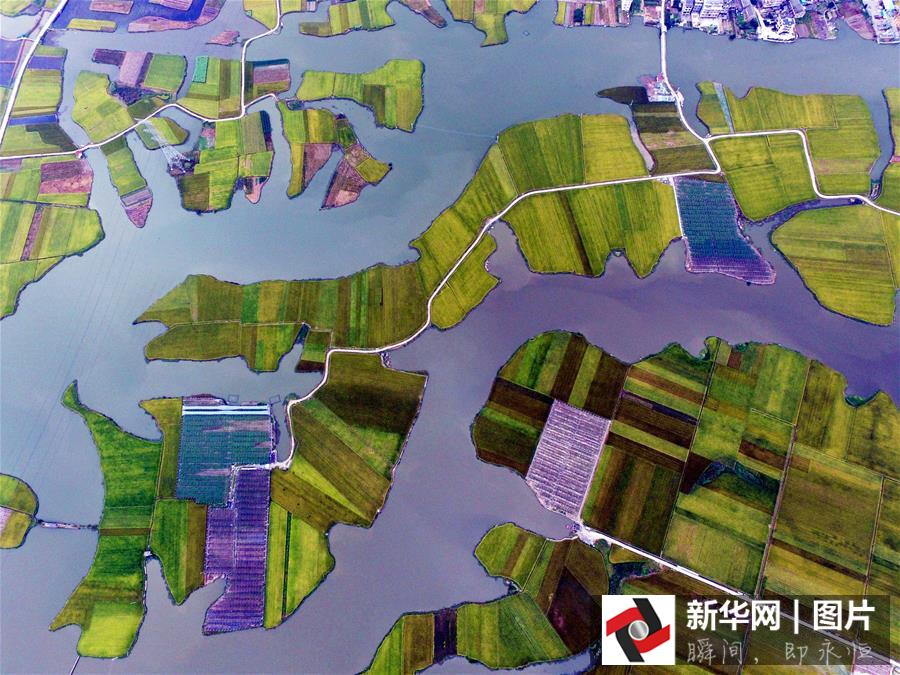 ??? ???? ????? ??????? ?? ??? 2015