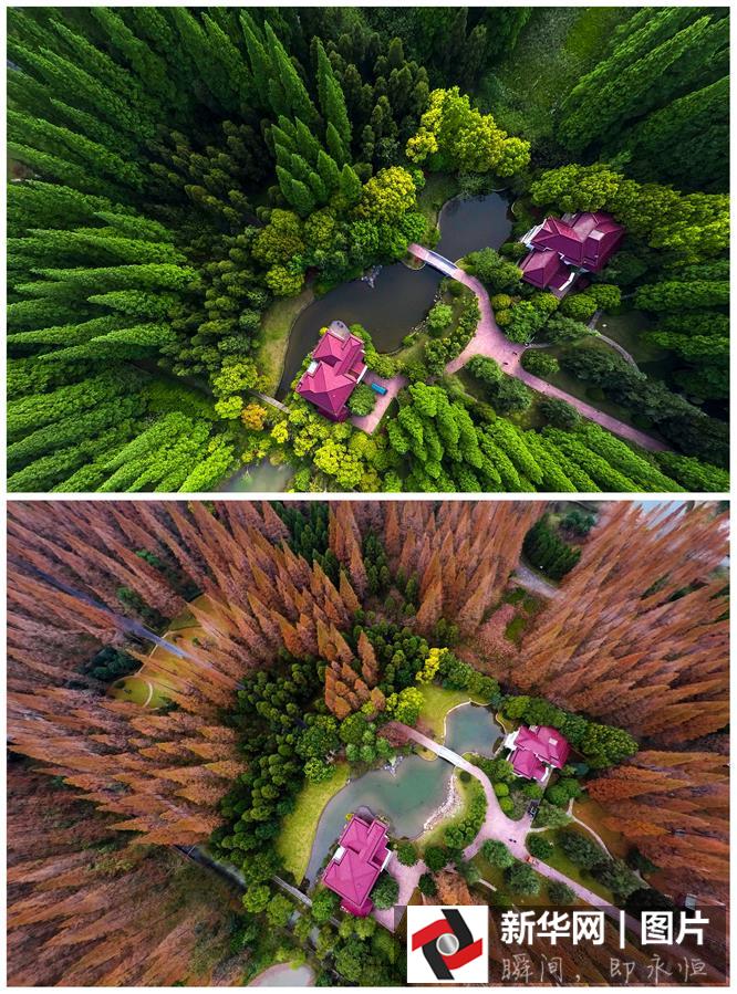 ??? ???? ????? ??????? ?? ??? 2015