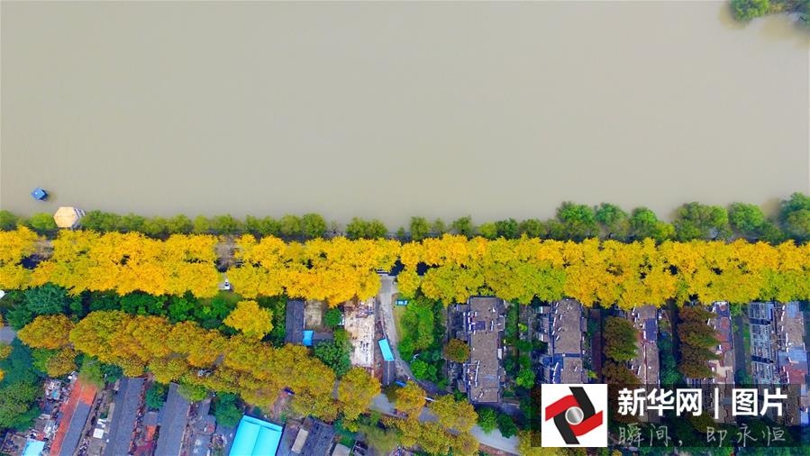 ??? ???? ????? ??????? ?? ??? 2015