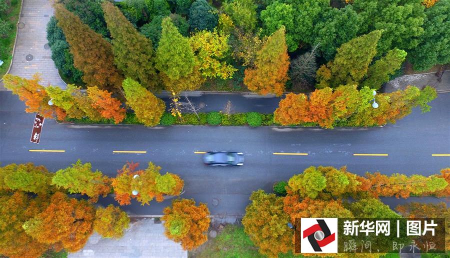 ??? ???? ????? ??????? ?? ??? 2015