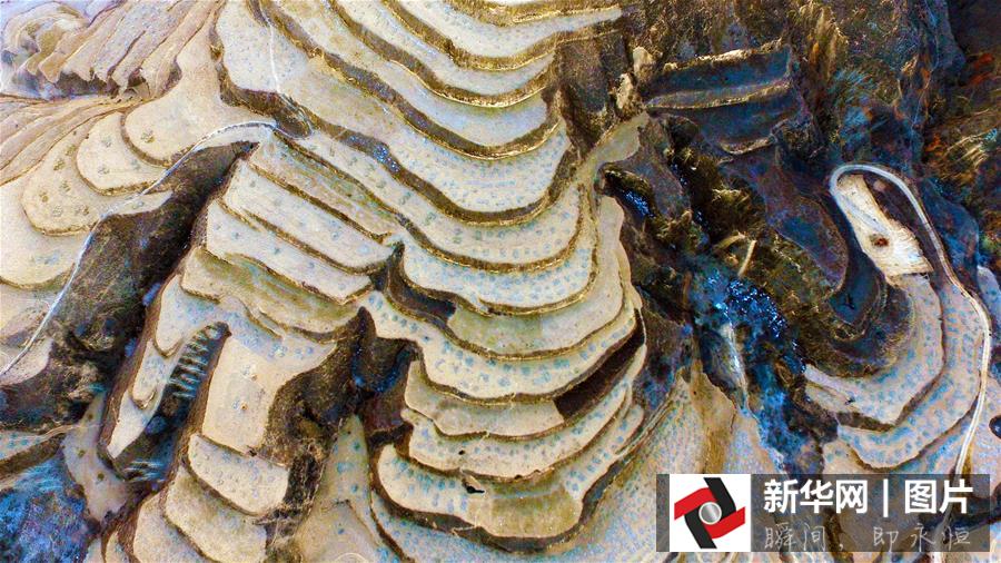 ??? ???? ????? ??????? ?? ??? 2015