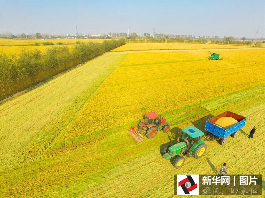 ??? ???? ????? ??????? ?? ??? 2015