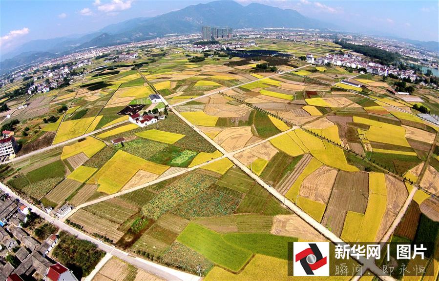 ??? ???? ????? ??????? ?? ??? 2015