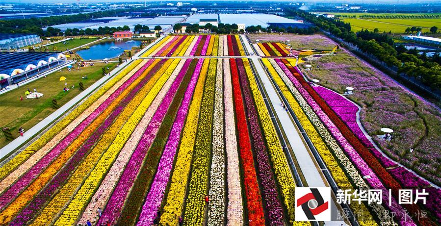 ??? ???? ????? ??????? ?? ??? 2015