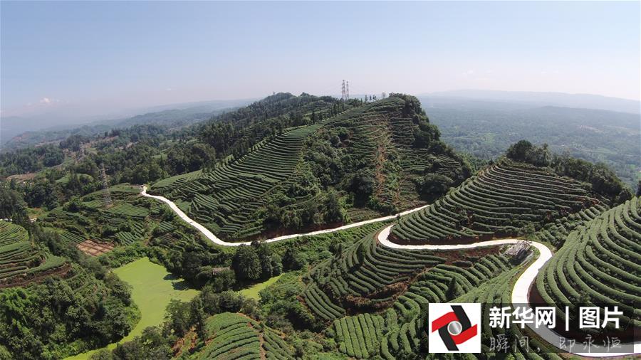 ??? ???? ????? ??????? ?? ??? 2015