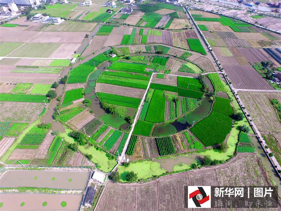 ??? ???? ????? ??????? ?? ??? 2015