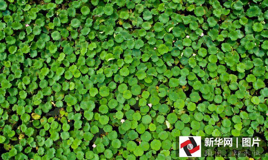 ??? ???? ????? ??????? ?? ??? 2015