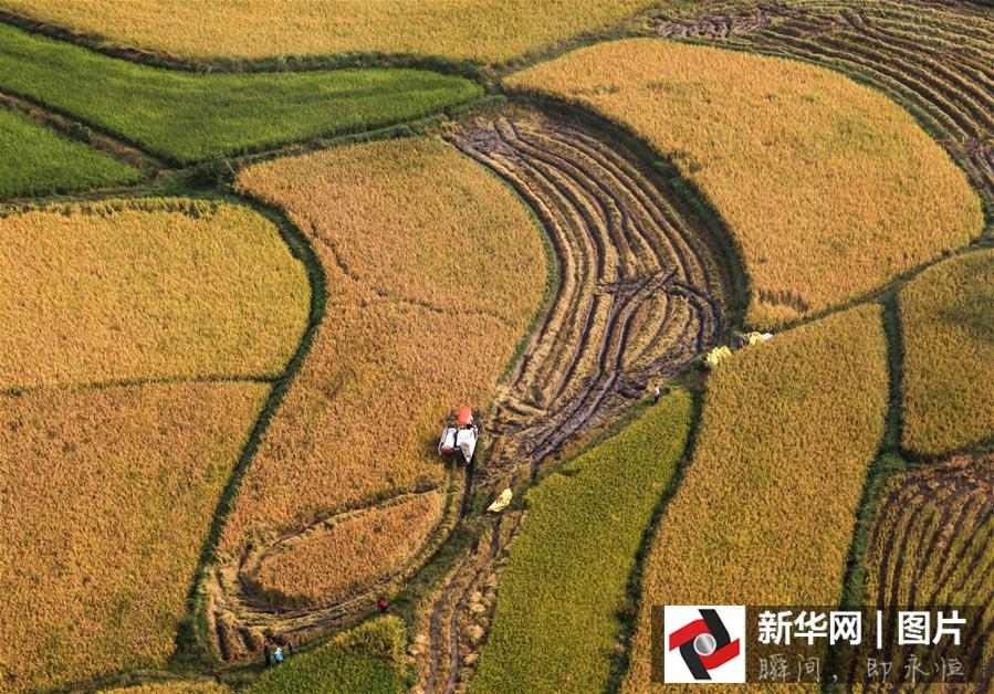 ??? ???? ????? ??????? ?? ??? 2015