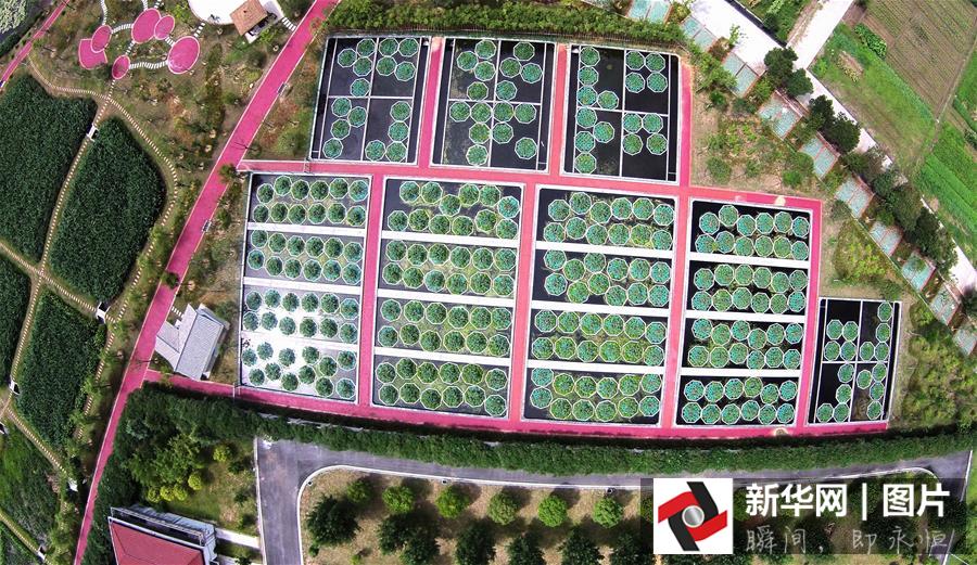 ??? ???? ????? ??????? ?? ??? 2015