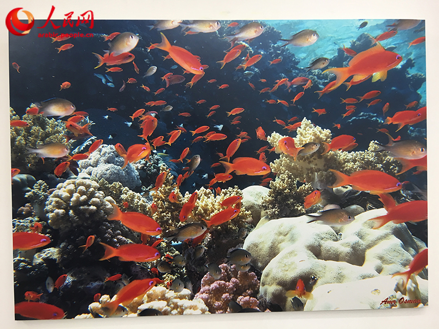 ??? ?? ??????? ???????????? ???????? ?? ???? "??????? ??????? - ???? ??????? ??????????? ?????? ?????? ???? ?????".