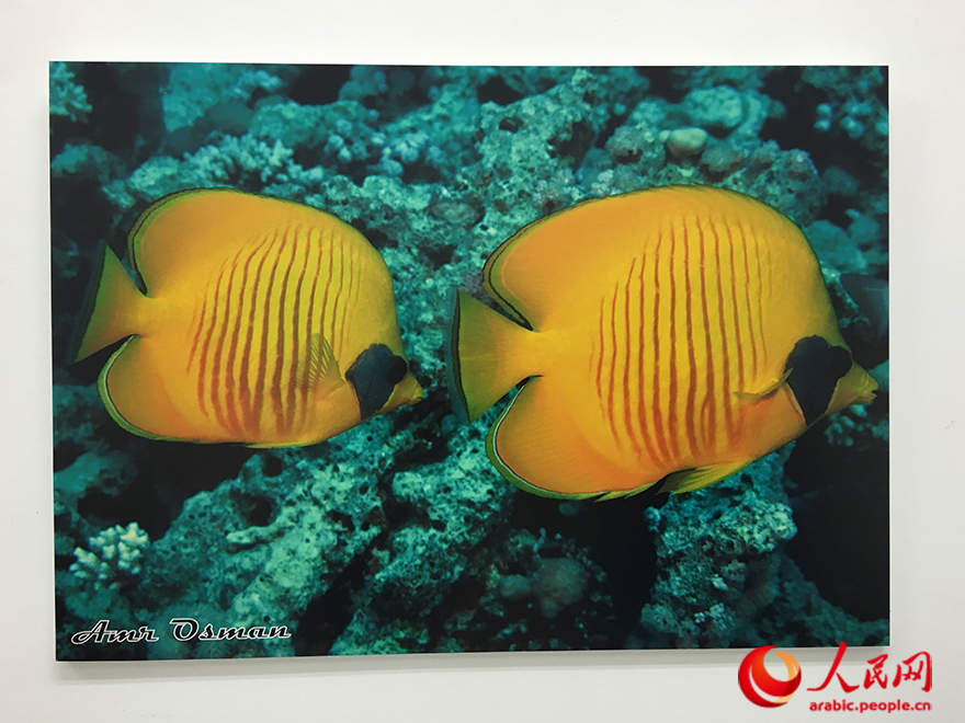 ??? ?? ??????? ???????????? ???????? ?? ???? "??????? ??????? - ???? ??????? ??????????? ?????? ?????? ???? ?????".