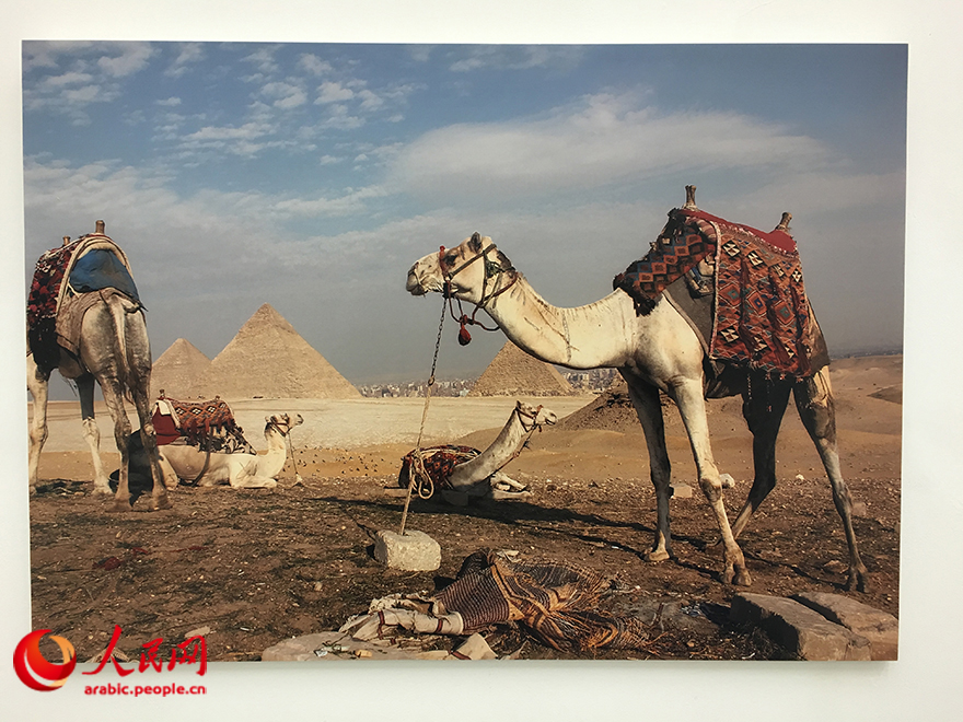 ??? ?? ??????? ???????????? ???????? ?? ???? "??????? ??????? - ???? ??????? ??????????? ?????? ?????? ???? ?????".