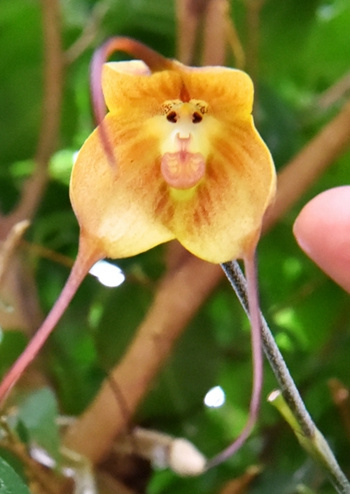 ???? ?????? ??? ??? ??? ????? ???????? ??? ?????