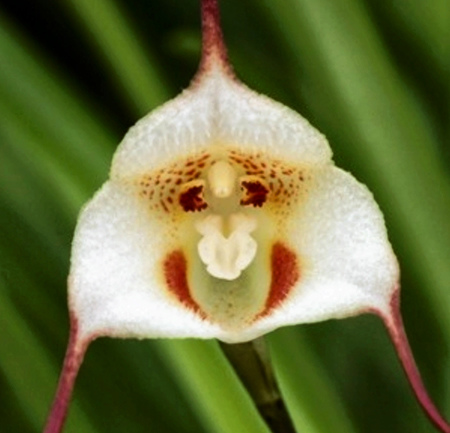 ???? ?????? ??? ??? ??? ????? ???????? ??? ?????