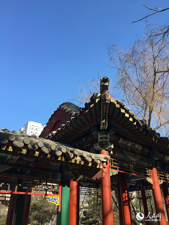 ???? ?????? ??? ???? ???? ?????