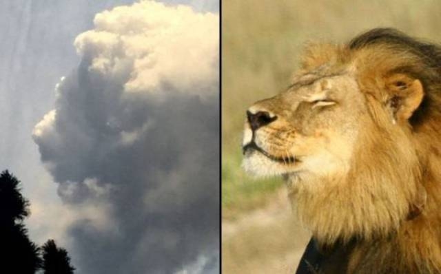 ????? ??????? ?? ?????...