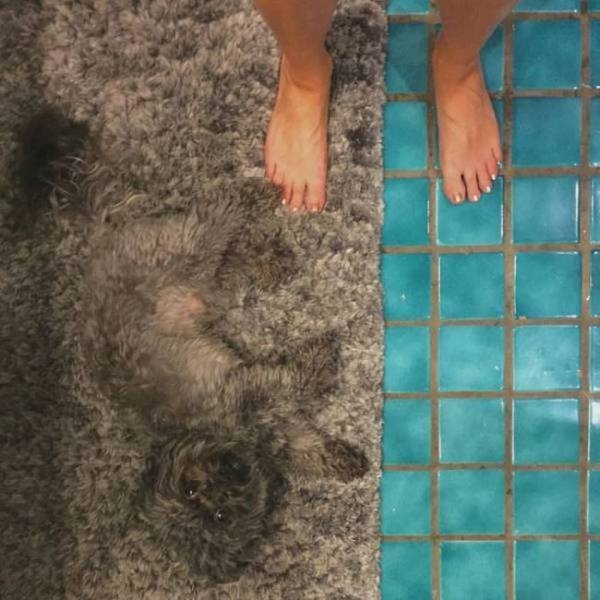 ????? ??????? ?? ?????...