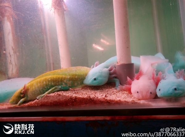 ???? ??????? ???? ?????? --- ????? ????????? ?? ????? ????? 