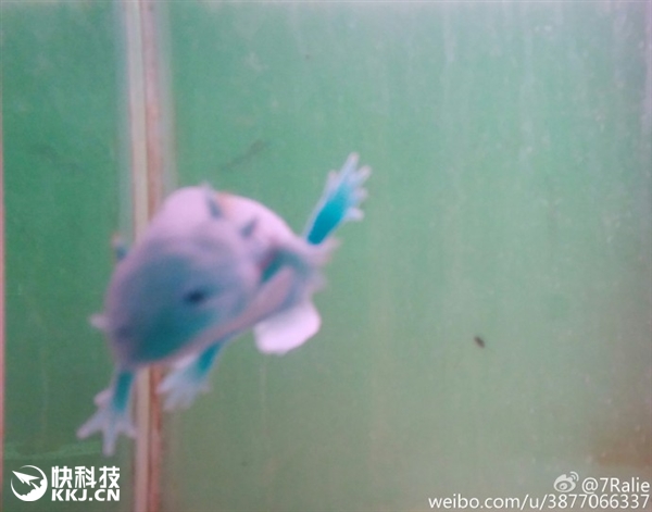 ???? ??????? ???? ?????? --- ????? ????????? ?? ????? ????? 