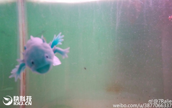 ???? ??????? ???? ?????? --- ????? ????????? ?? ????? ????? 