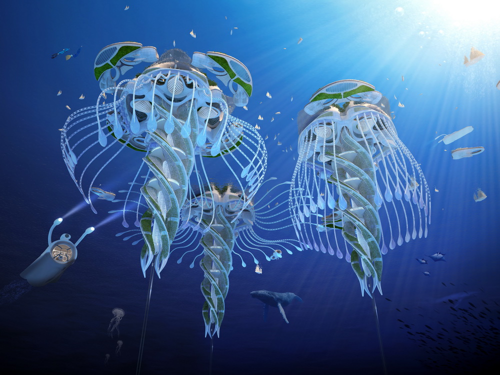 ????.. ????? ??? ????? ???? ???? ??? ?????