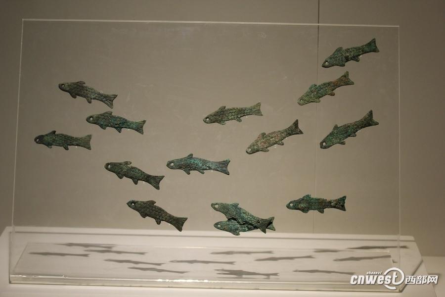 ????? ?? ???? ???? ????? ????? 