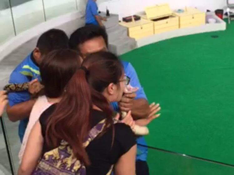 ???? ???  ??? ????? ????? ???????