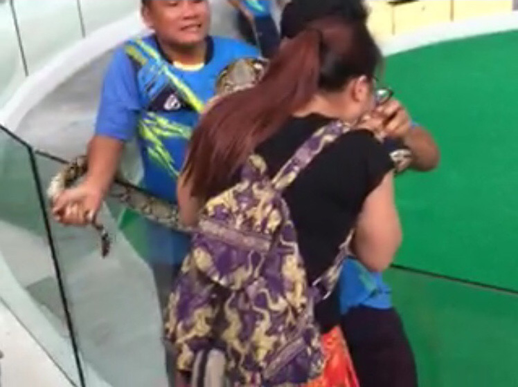 ???? ???  ??? ????? ????? ???????