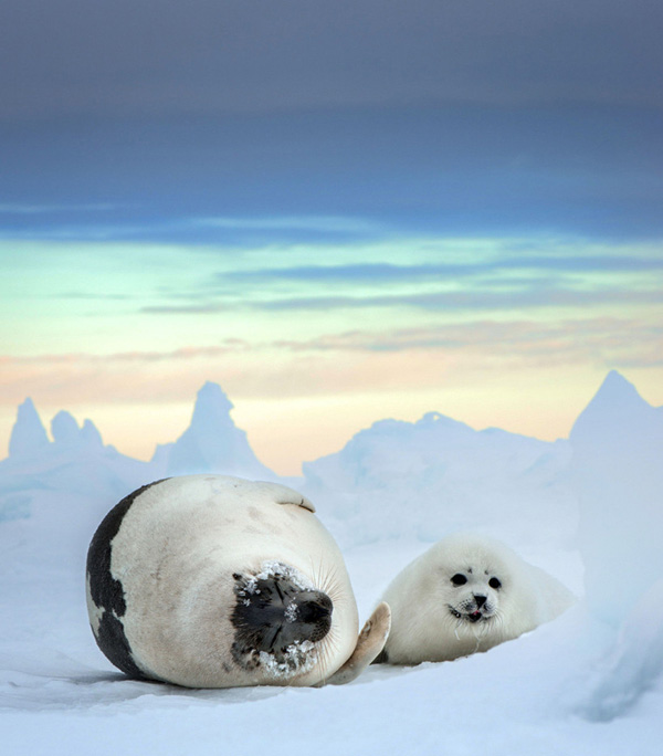 ????? ???...??? ??? ????? ???? ????