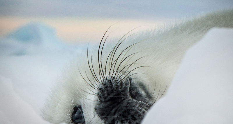 ????? ???...??? ??? ????? ???? ????