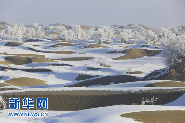 ????? ???... ???? ????? ???? ?????? ?? ????? ????????