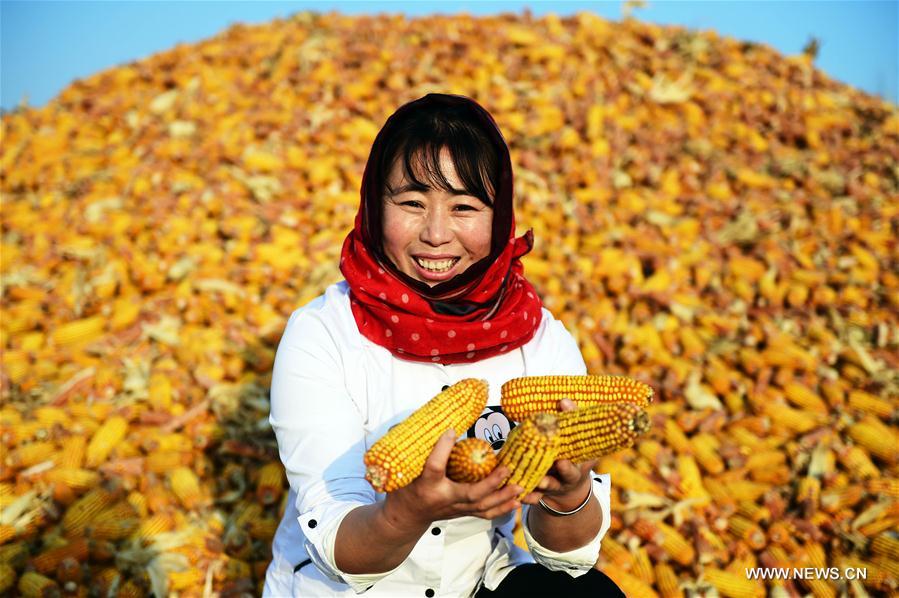 ????: ???????? ?????? ???? 6.9 ?? ?????? ?? ??? 2015