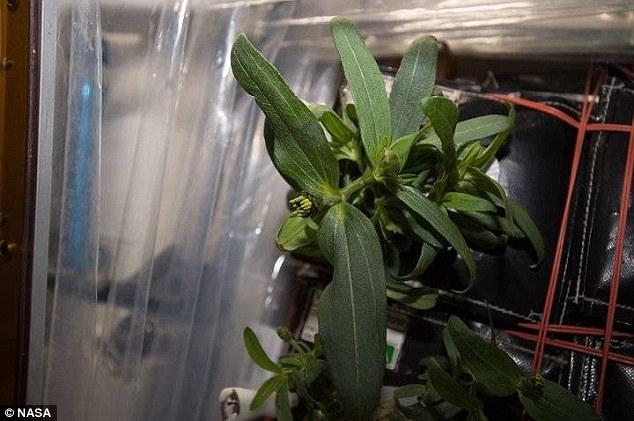 ???? ?????? ??????? ????? ?? ??????