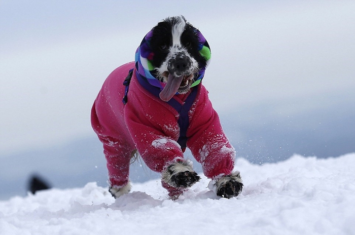 ???? ????? ???? ???????? ????? ??????