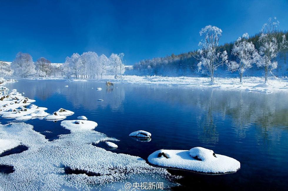 ???? ???? ?????? ?? ???? ???? ?????