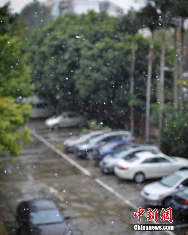 ????? ???? ???? ???? ??? ??? 30 ????