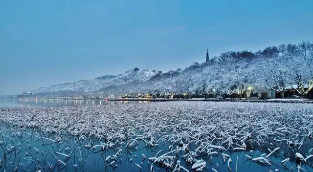 ????? ???? ???? ???? ??? ??? 30 ????