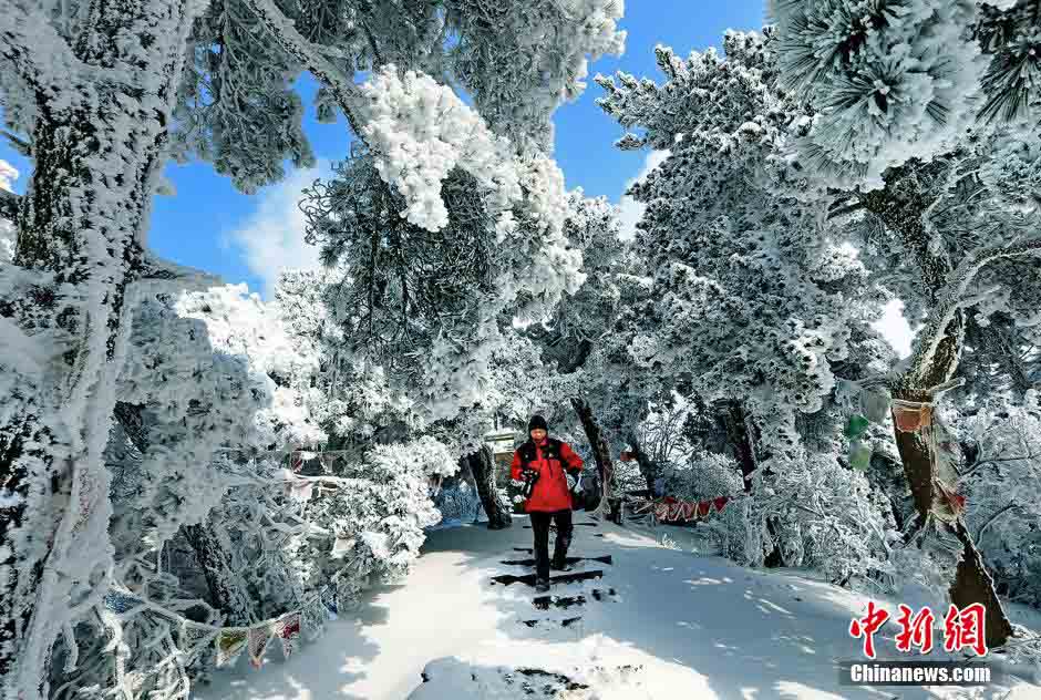 ????? ???? ???? ???? ??? ??? 30 ????