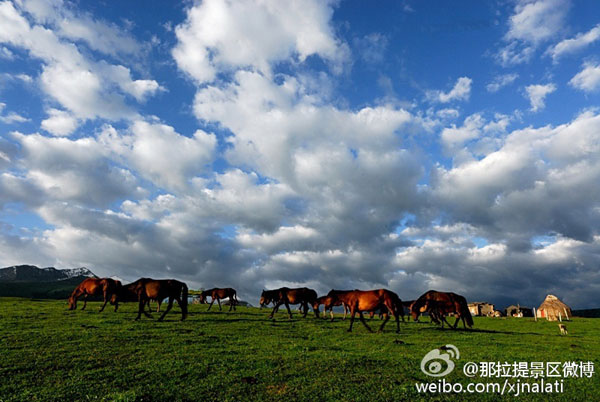 ??????..  ????? ???? ?????? ???????