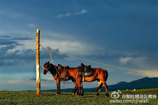 ??????..  ????? ???? ?????? ???????