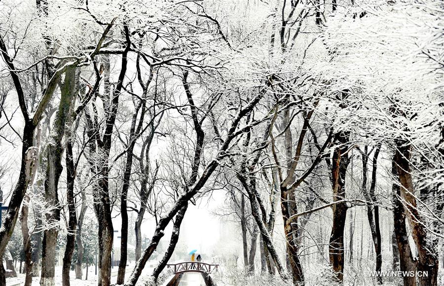 ????? ???????: ?????? ??????? ???? ????? ????? ?? ???? ?????